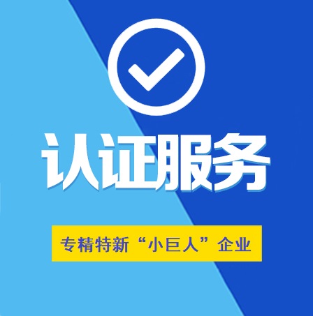 湖北省專精特新“小巨人”企業(yè)認(rèn)定